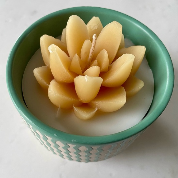 Peppermint Cactus Candle - Picture 6 of 6